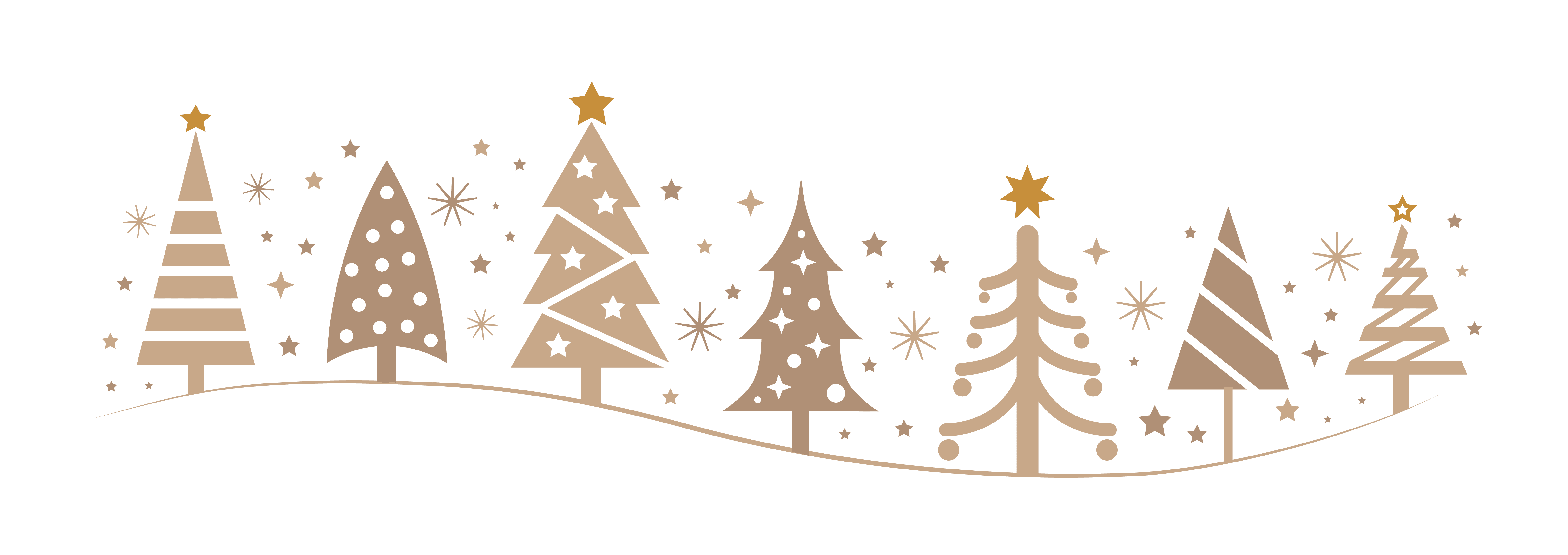 adobestock977439837