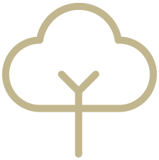 tree-3--nature-tree-plant-cloud-shape-park